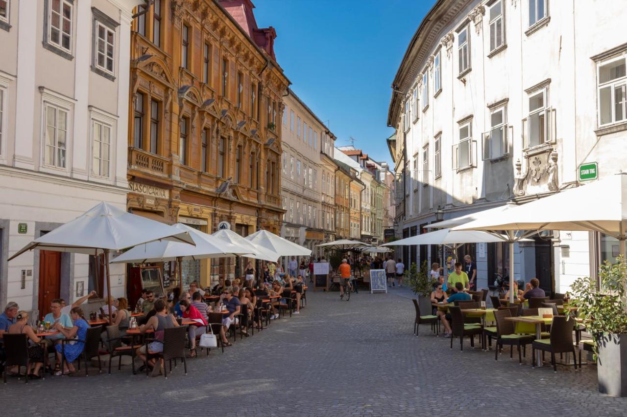 City Center Apartment With Parking Любляна Экстерьер фото